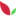 avivi.pro