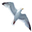 avsa.com