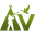 avseti.com