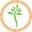 awakenforwellness.com