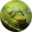 ayahuascaeasy.com