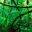 ayahuascaspiritcenter.com