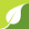 ayotree.com