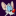 aypwip.org