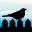 aywren.com