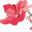 azaleas.org