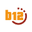 b12-ag.de