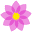 bahai.cr