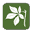 baimai.org