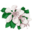 bainbridgegardens.com