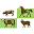 bainbridgevet.com.au