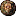 baldursgate.wikia.com