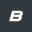 ballisticribs.com