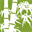 bamboo.org