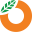 bancocci.hn
