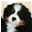 barkingbunch.nl