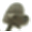bartabat.com