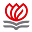 baseis.org.py