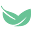 bayleafdigital.com