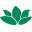 bch.org.tw