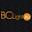 bclight.ru