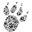 bcwildlife.org