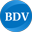 bdvsolutions.com