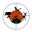 beadaptive.com
