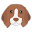 beagle.im