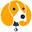 beaglestreet.com
