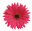 beauty-depot.ca