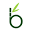 bebamboo.com.mx