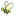 bee.net