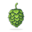 beergeeks.cl