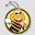 beesafebeeremoval.com