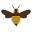 beesafepestcontrol.com