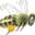 beesupplies.ie