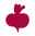 beetroot.co