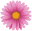 behancebeauty.com