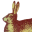 belbonistika.com