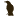 bellaciao.de