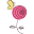 belleepok.com