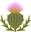 beneficialbotanicals.com