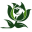 berksgreenparty.org