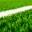 best-fieldhockeysticks.com