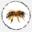 bestbees.ru
