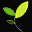 bestpractice-llc.com