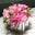 beverlyhillsflowergallery.com