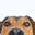 bexy.com.tr