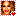 beyonce.com.pl